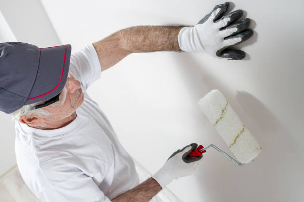 Best Attic Mold Removal  in Madisonville, KY